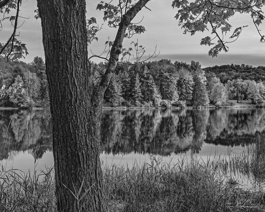 Lackawanna Lake Lackawanna State Park PA Photograph by Tim Fitzharris ...