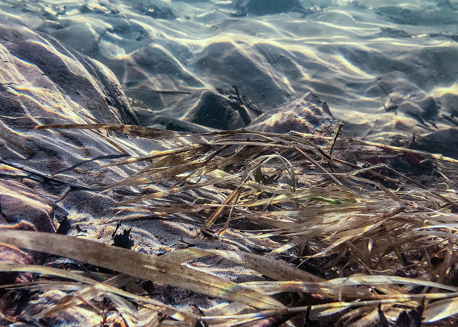 Lackawaxen River Underwater 1 Photograph by Amelia Pearn