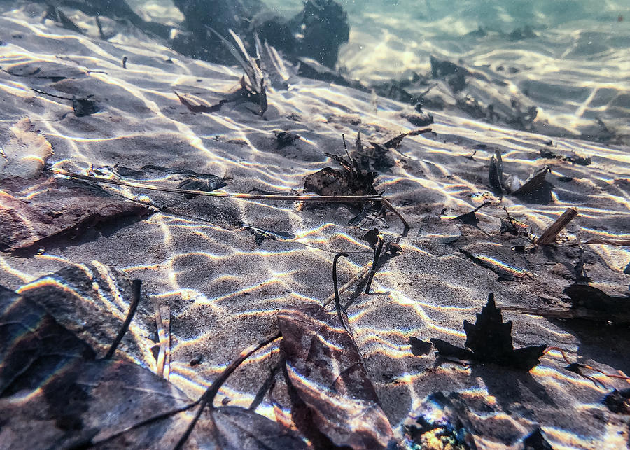 Lackawaxen River Underwater 3 Photograph by Amelia Pearn
