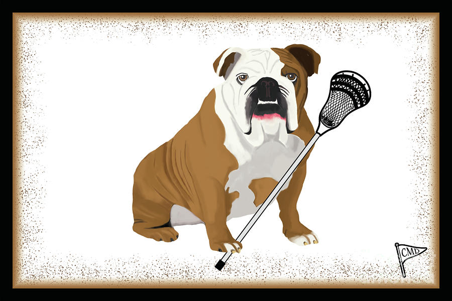 Lacrosse Bulldog Digital Art by College Mascot Designs | Fine Art America