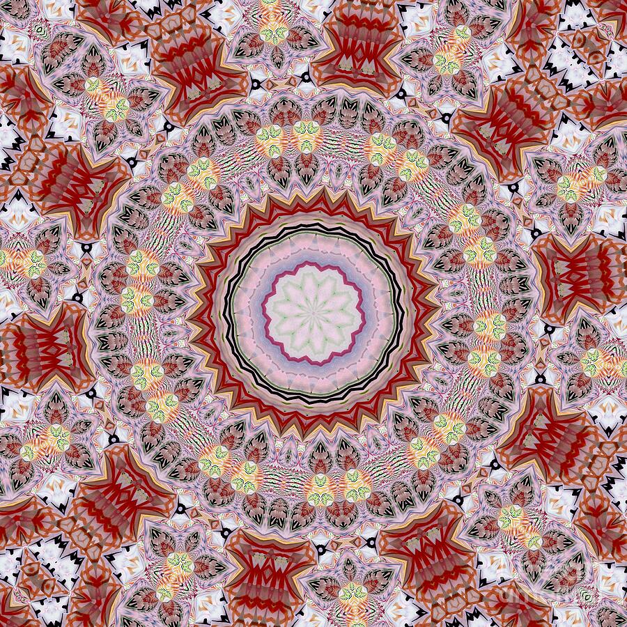 Lacy Digital Art - Lacy Mandala with Reds by L A Feldstein