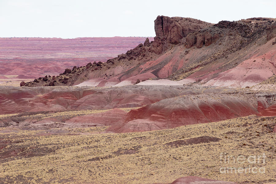 Painted Desert Photograph - Lacy Point, Painted Desert A9201L by Stephen Parker