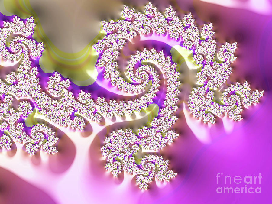 Abstract Digital Art - Lacy Spiral Number 7 by Elisabeth Lucas