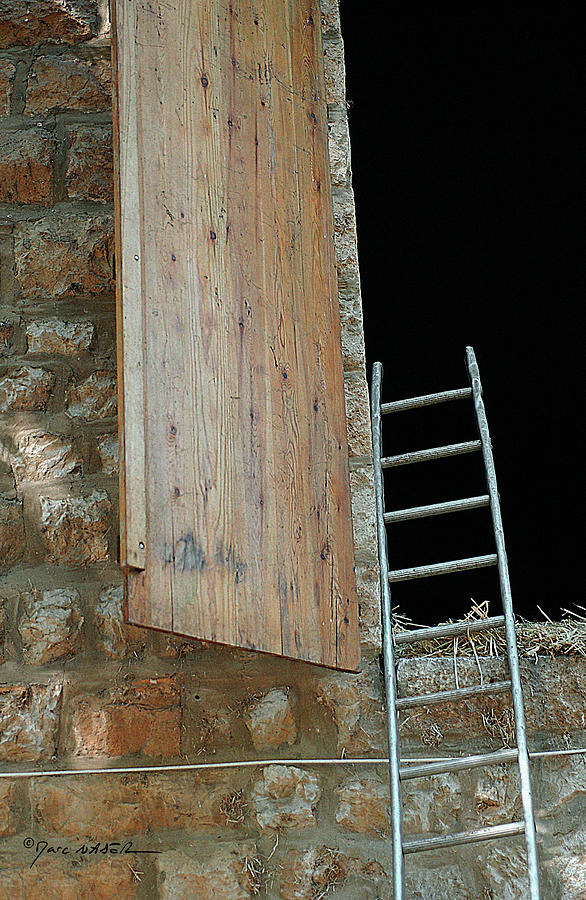 Ladder And The Barn Photograph by Marc Nader
