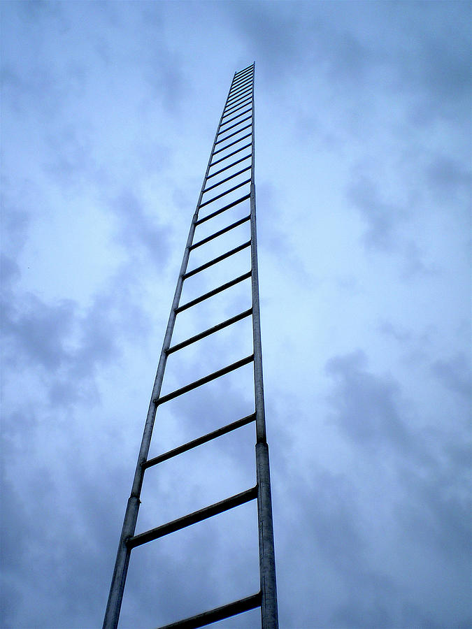 Ladder Digital Art by John Anglim - Fine Art America