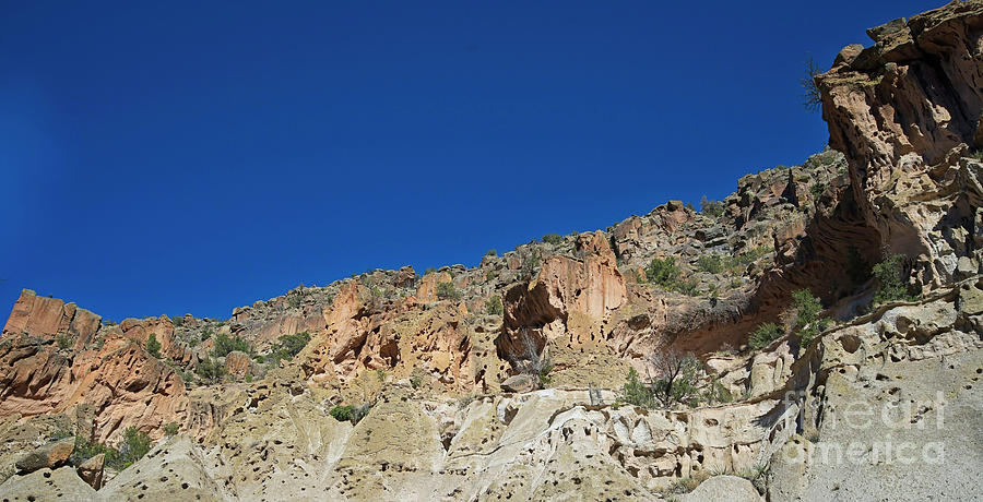 Bandelier National Monument Photograph - Ladder by Jon Burch Photography