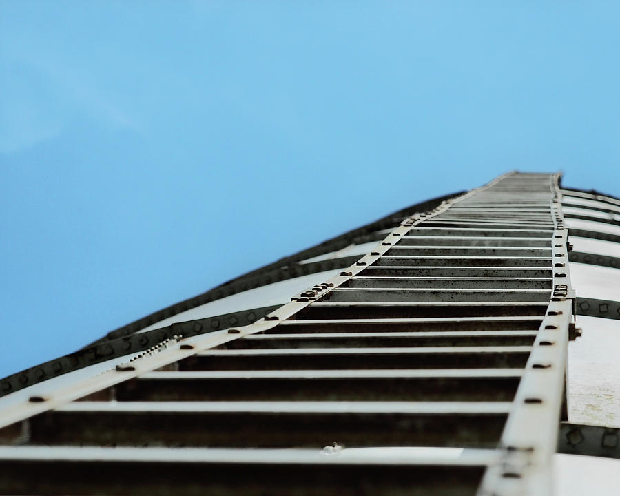 Ladder of Success Photograph by Deckmans World