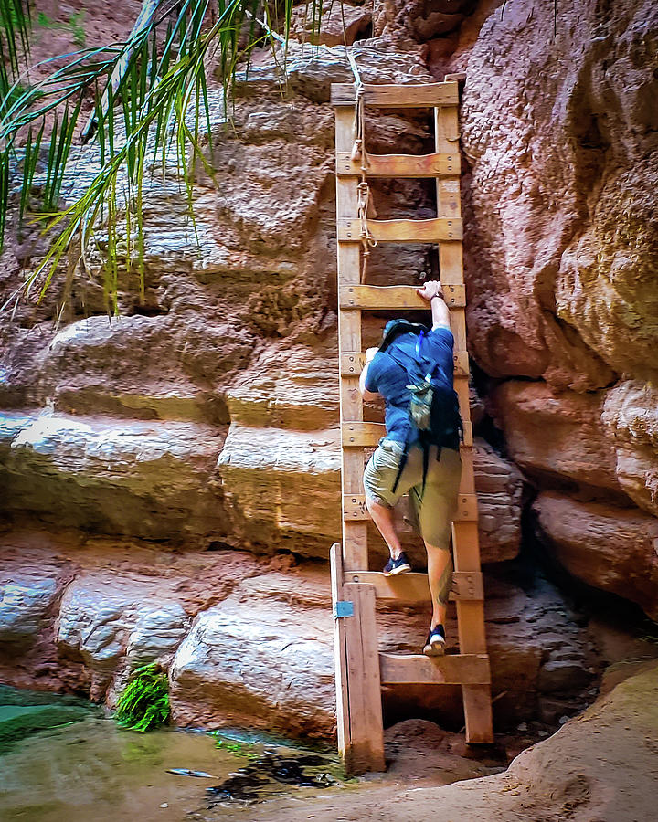 Ladders on the Trail Photograph by Bonny Puckett