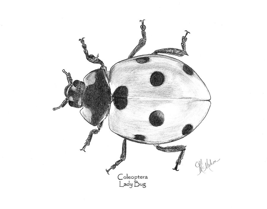 A4 Original Crayon Ladybird Drawing | lupon.gov.ph