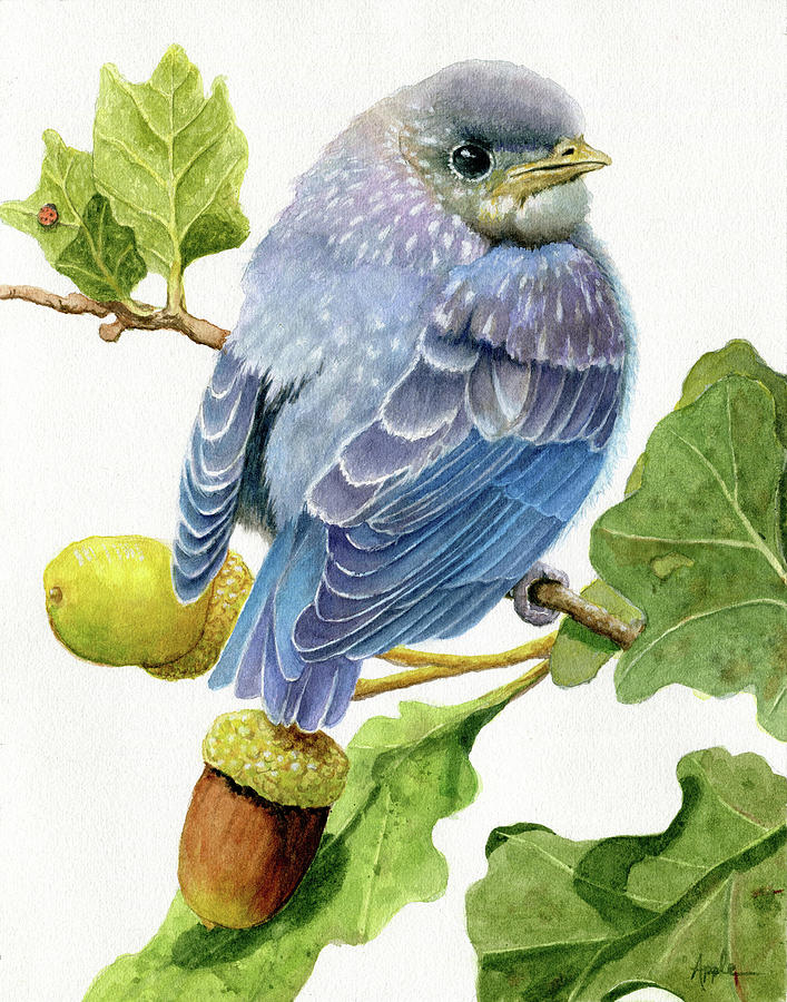 Bluebird Painting - Lady Bug by Linda Apple