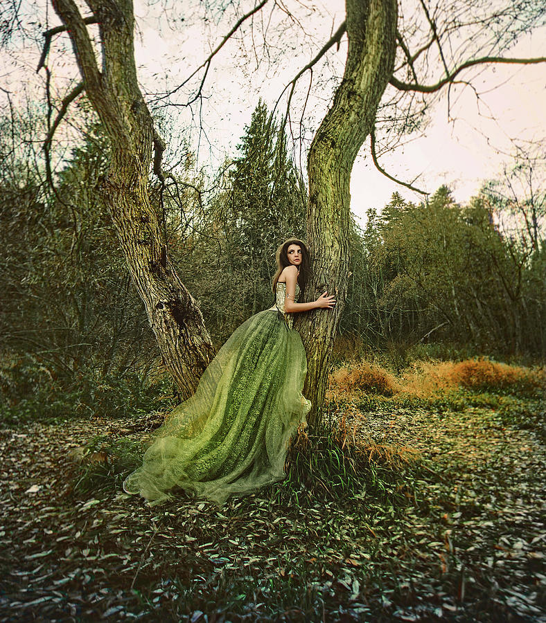 Lady in Green Dress Photograph by Running Brook Galleries | Fine Art ...