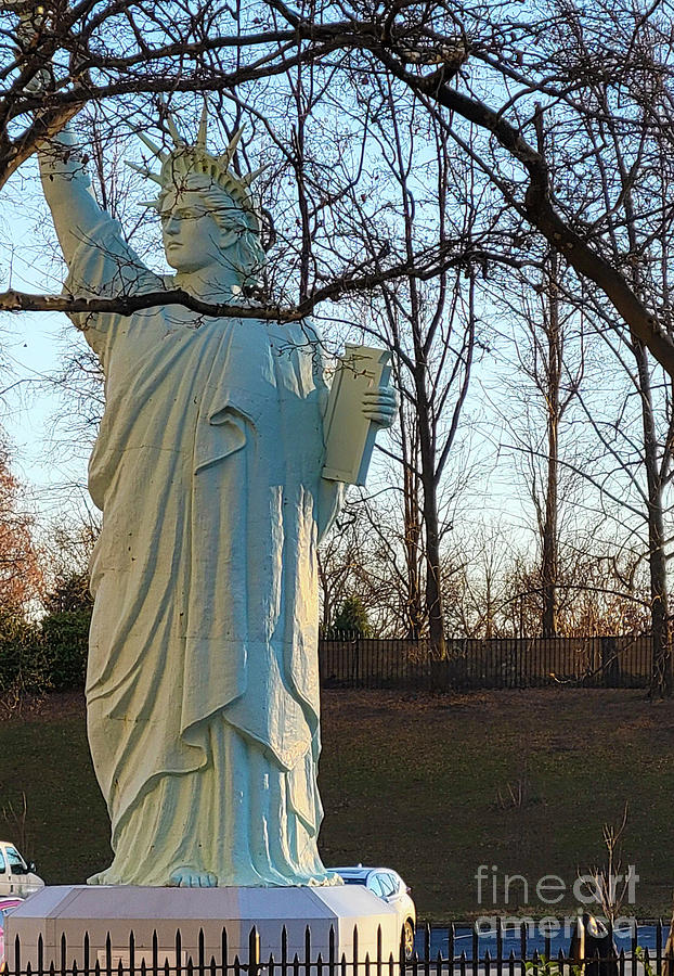 Lady Liberty Photograph by Mary Capriole