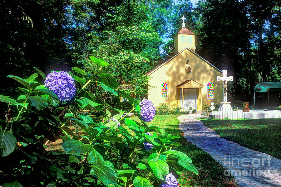 Lady of Lourdes Shrine Lacombe Louisiana Photograph by Alex Demyan ...