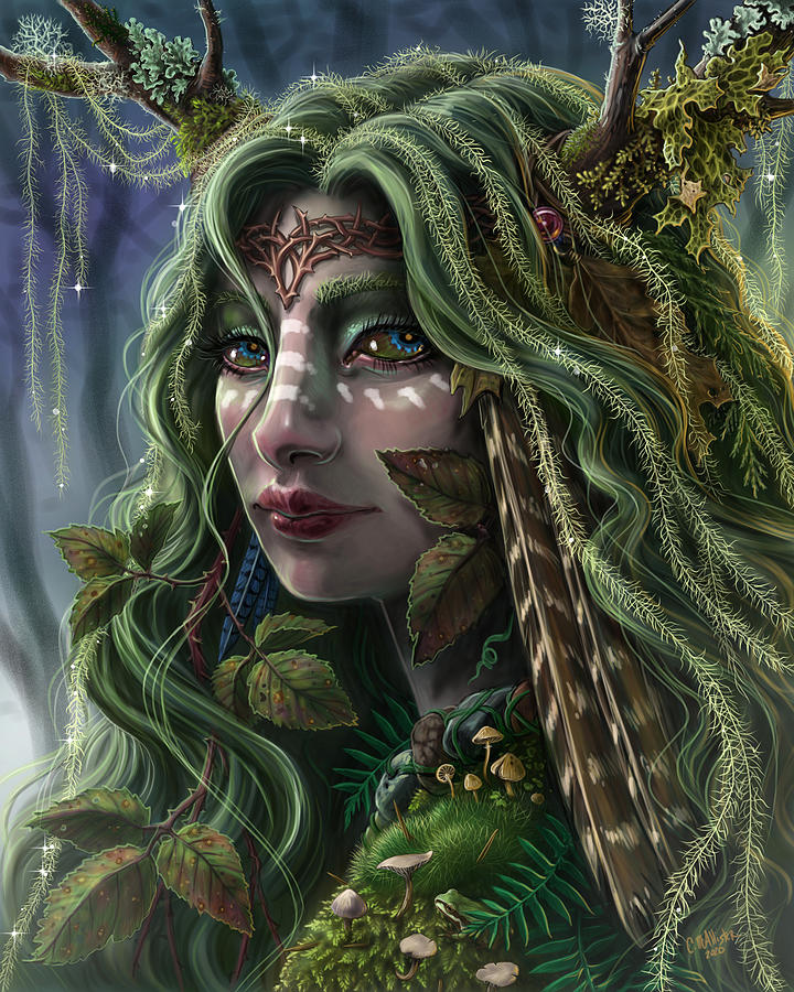 Fairy Digital Art - Lady of the Forest by Cristina McAllister