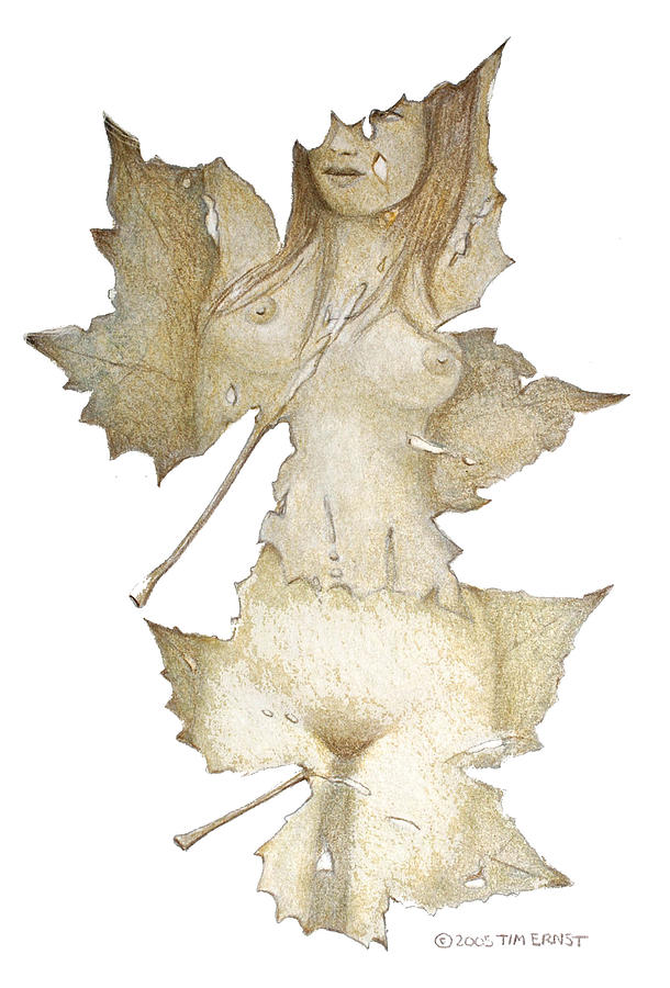 Lady Of The Leaf 5 Drawing by Tim Ernst