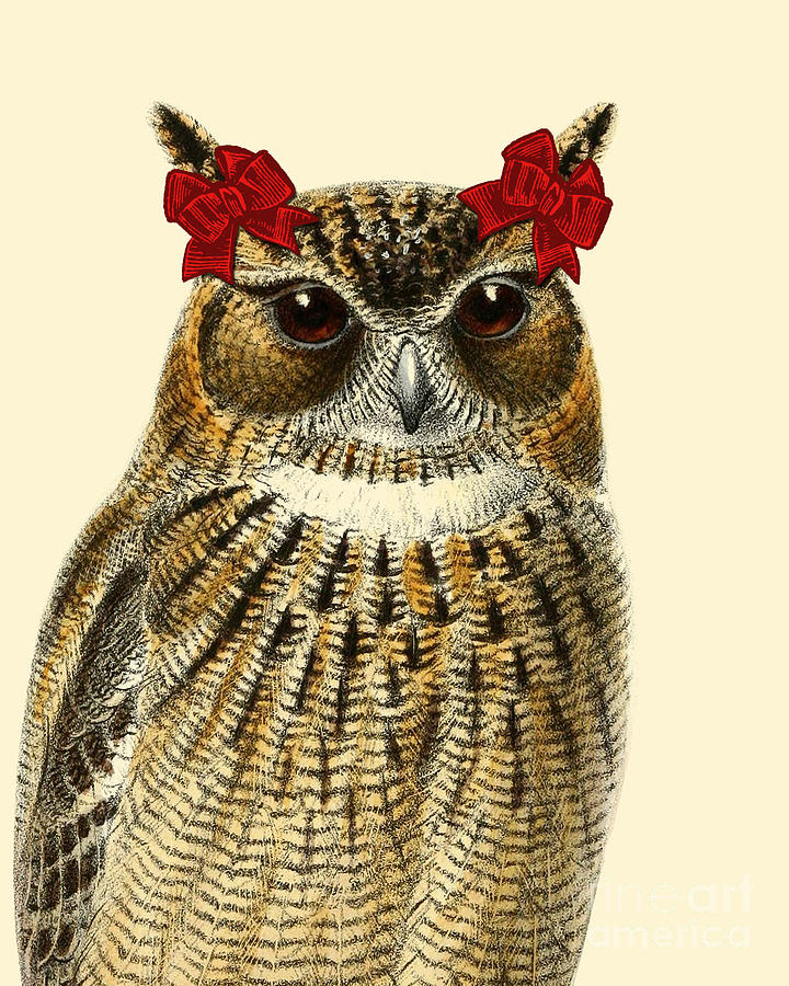 Owl Digital Art - Lady owl by Madame Memento