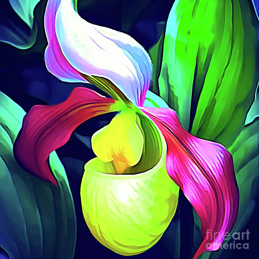 Lady Slipper Orchid Expressionist Effect Digital Art by Rose Santuci-Sofranko