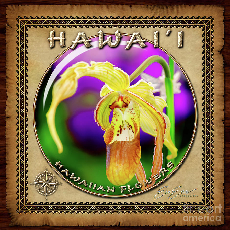 Lady Slipper Orchid Sphere Image with Hawaiian Style Border Photograph by Aloha Art