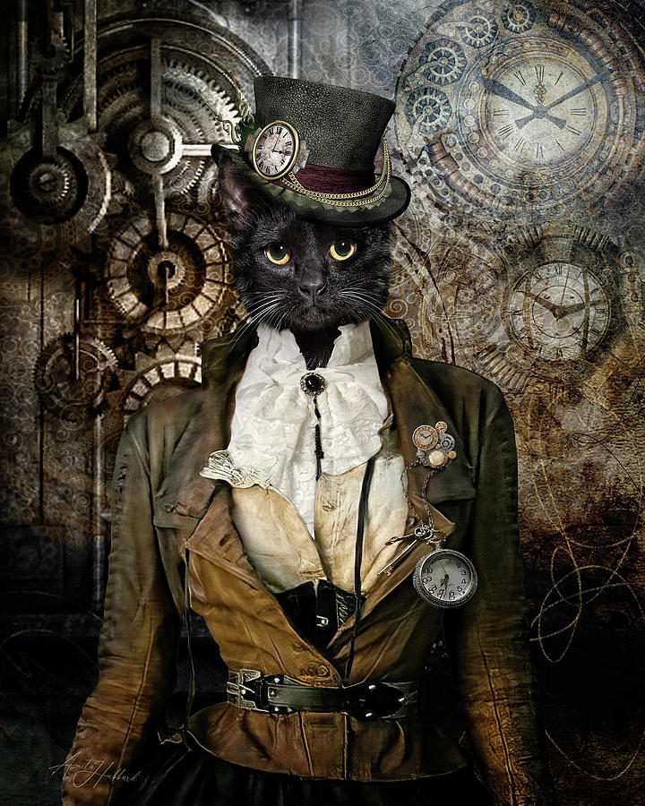 Lady Steampunk Time Digital Art by Anita Hubbard - Fine Art America