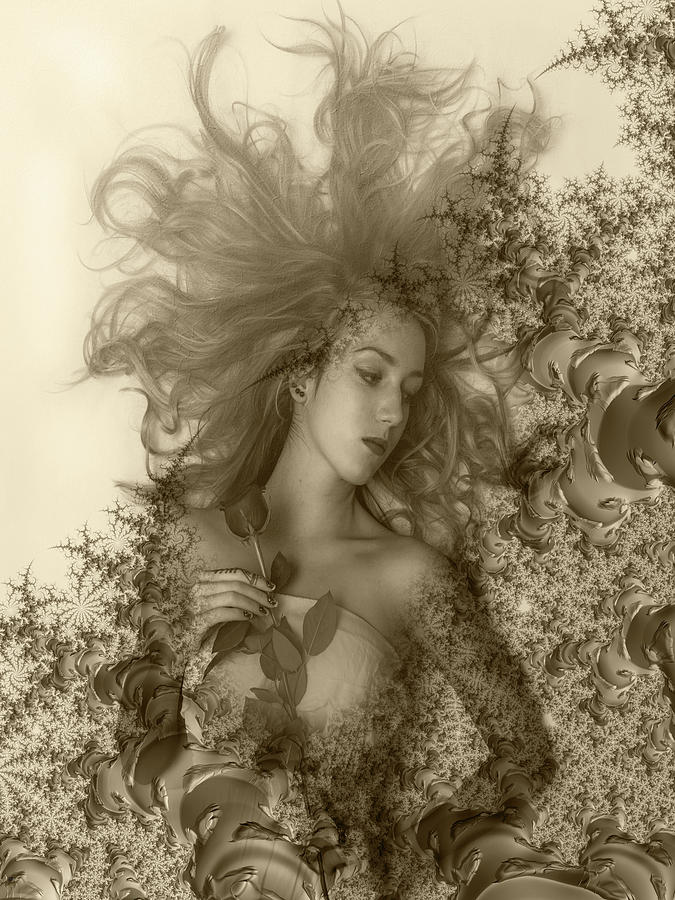 Lady with a Rose Digital Art by Elaine Teague