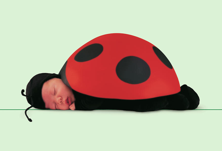 anne geddes baby ladybug