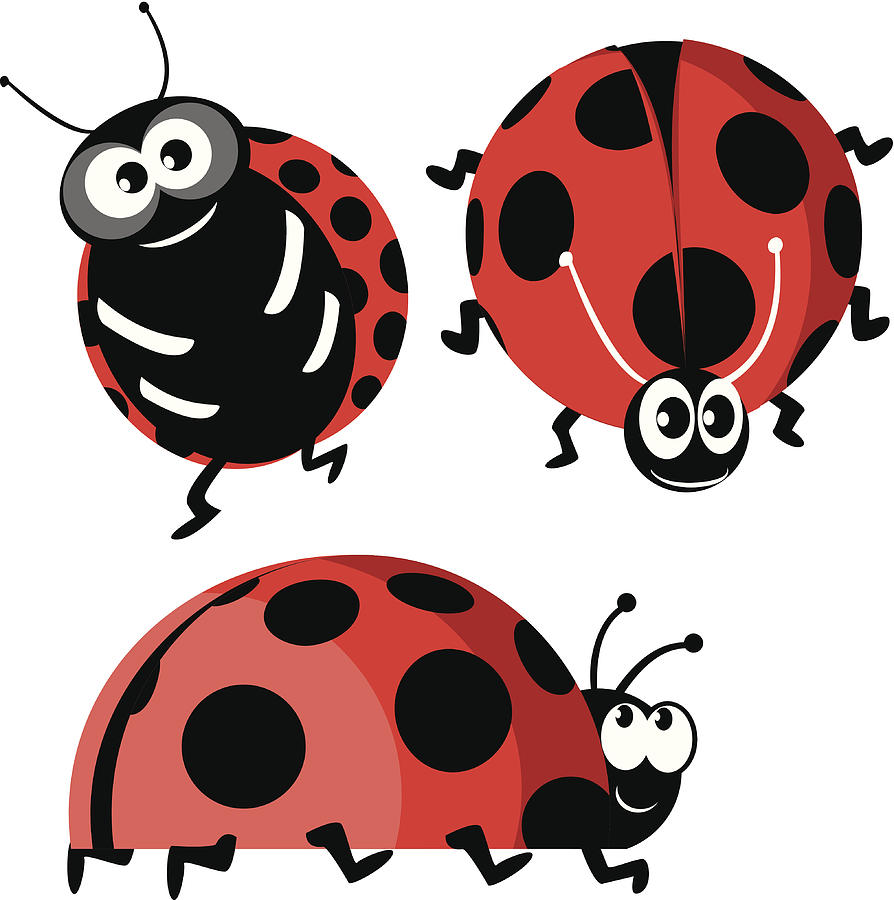 Ladybug Drawing by Drmakkoy