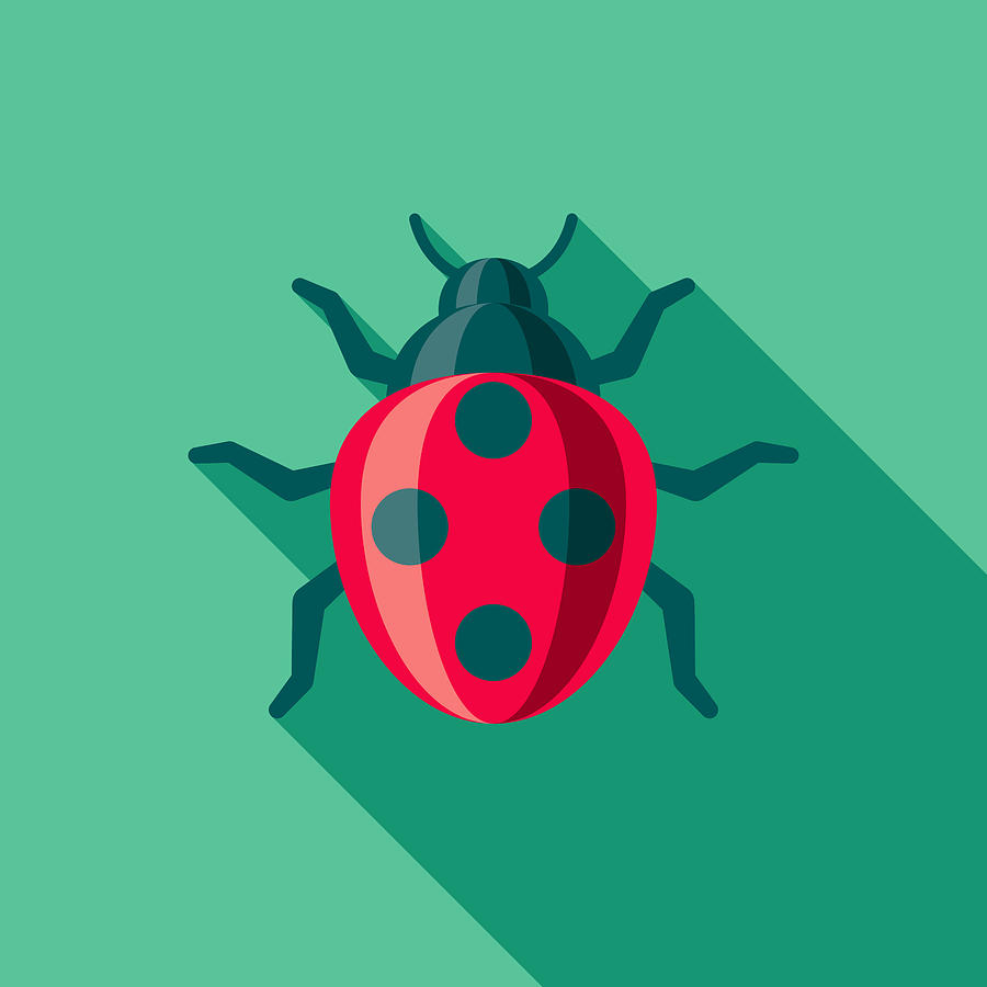 Ladybug Flat Design Gardening Icon with Side Shadow Drawing by Bortonia
