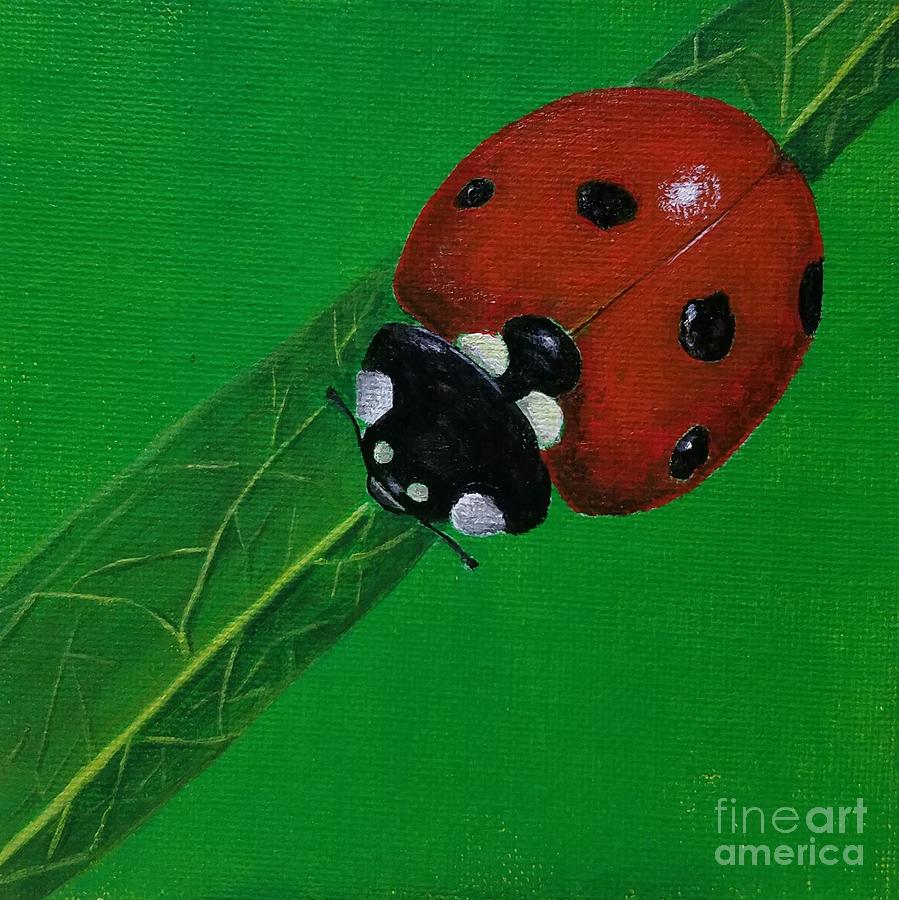 Ladybug  Painting by Jimmy Chuck Smith