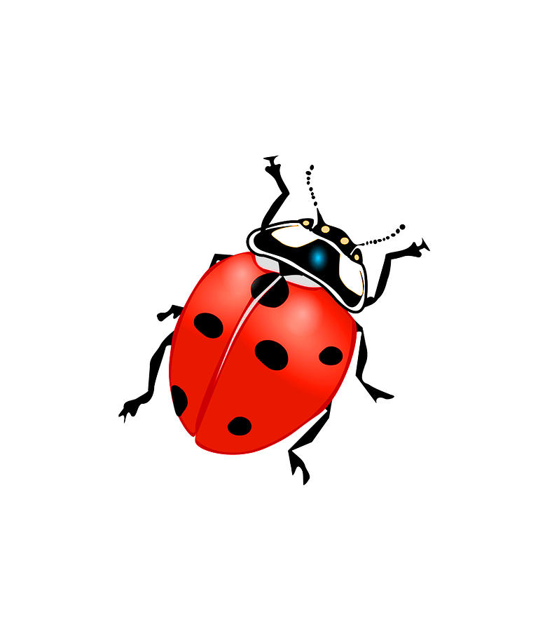 Ladybug Ladybird Insect. Digital Art by Tom Hill - Fine Art America