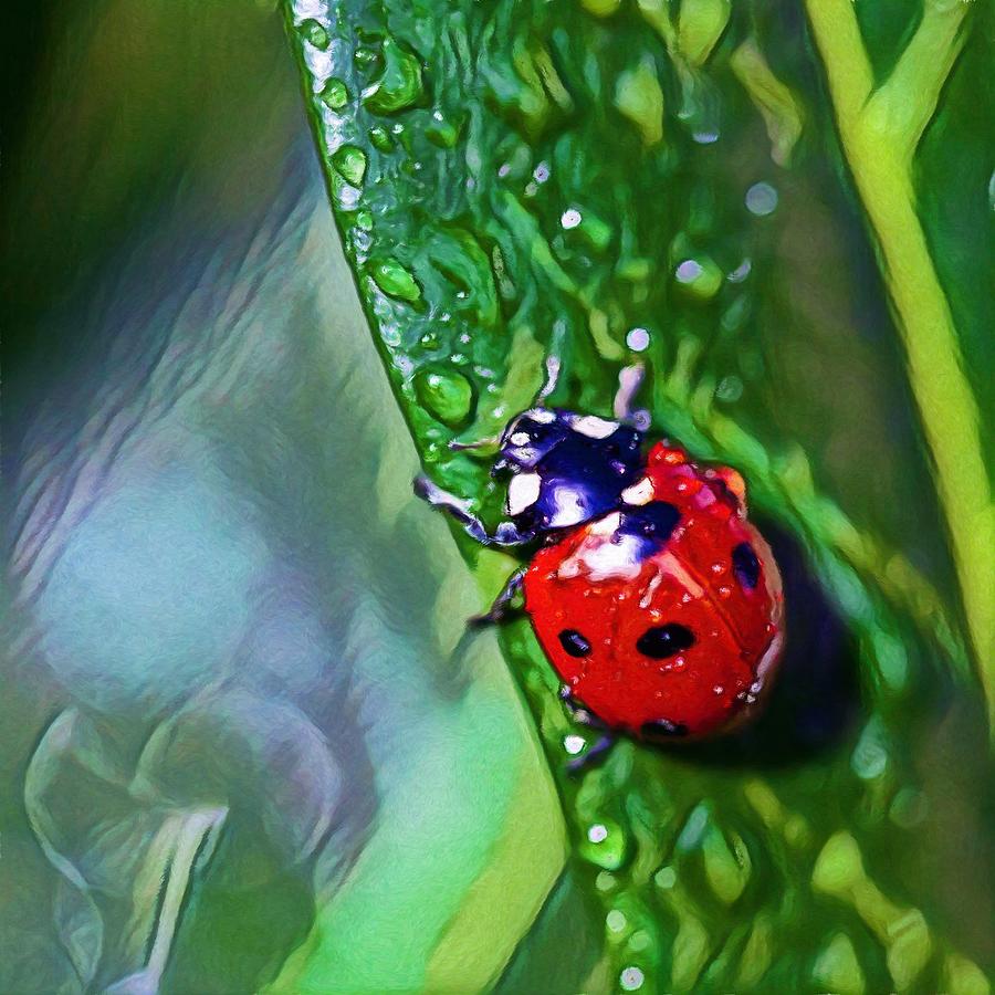 Ladybug Leaf Painting Digital Art by Christopher Taylor | Fine Art America