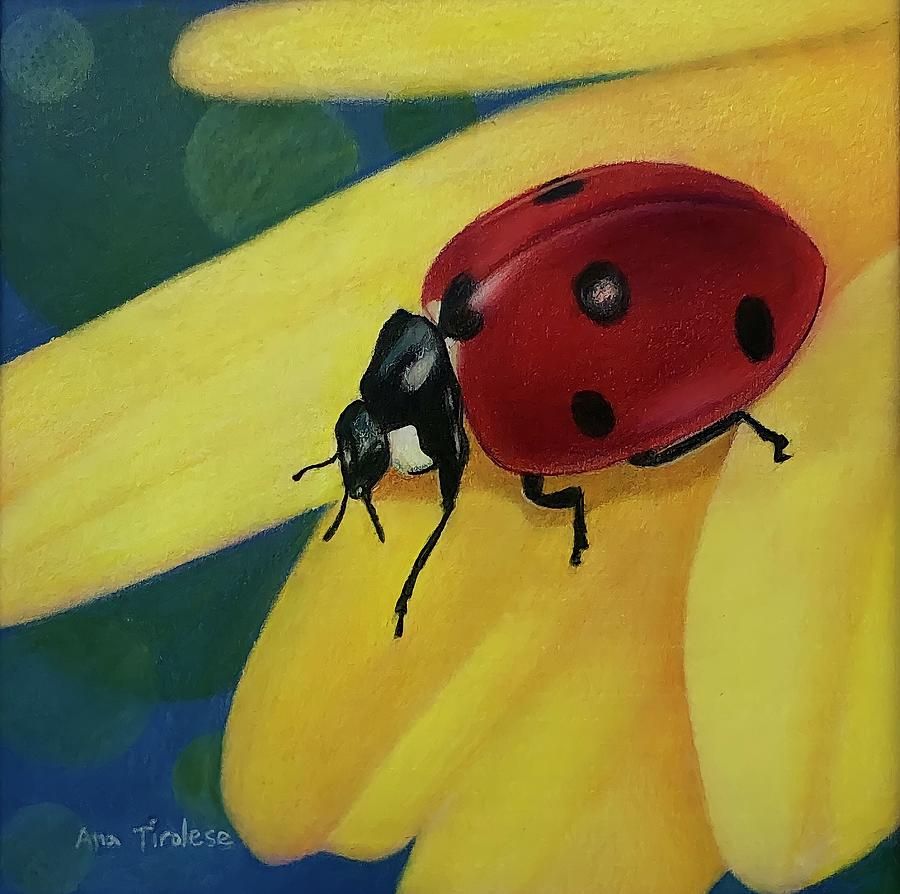 Ladybug on Yellow Flower Drawing by Ana Tirolese
