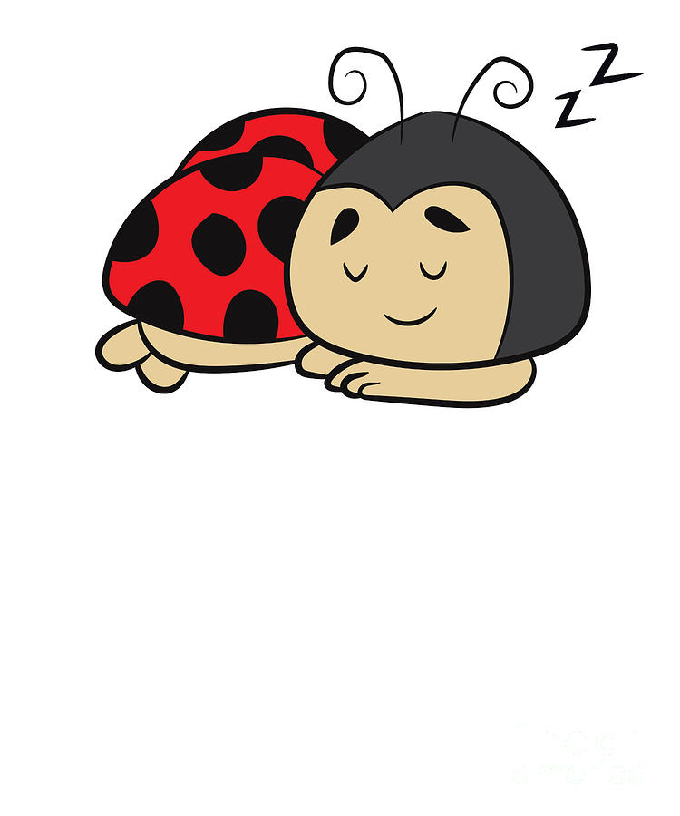 ladybug sleeping bag as seen on tv