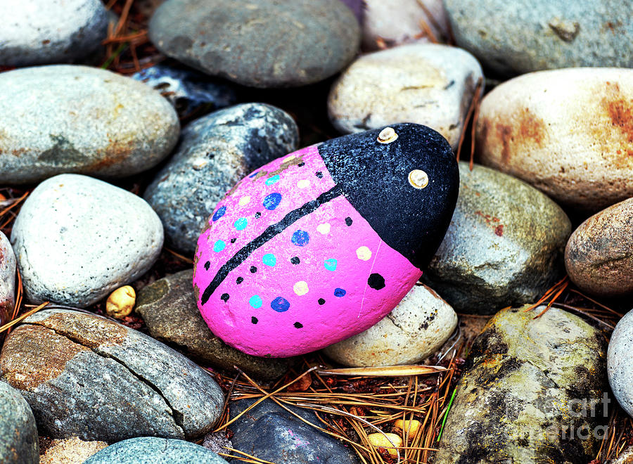 Ladybug Stone in Beach Haven Photograph by John Rizzuto