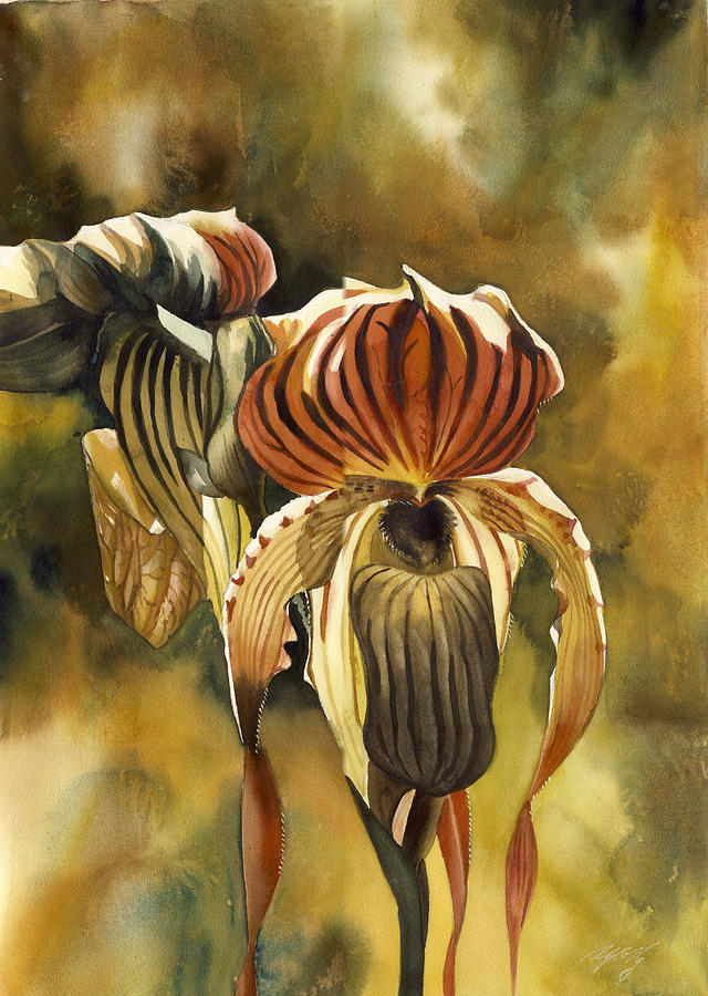 Orchid Painting - Ladyslipper Orchids by Alfred Ng