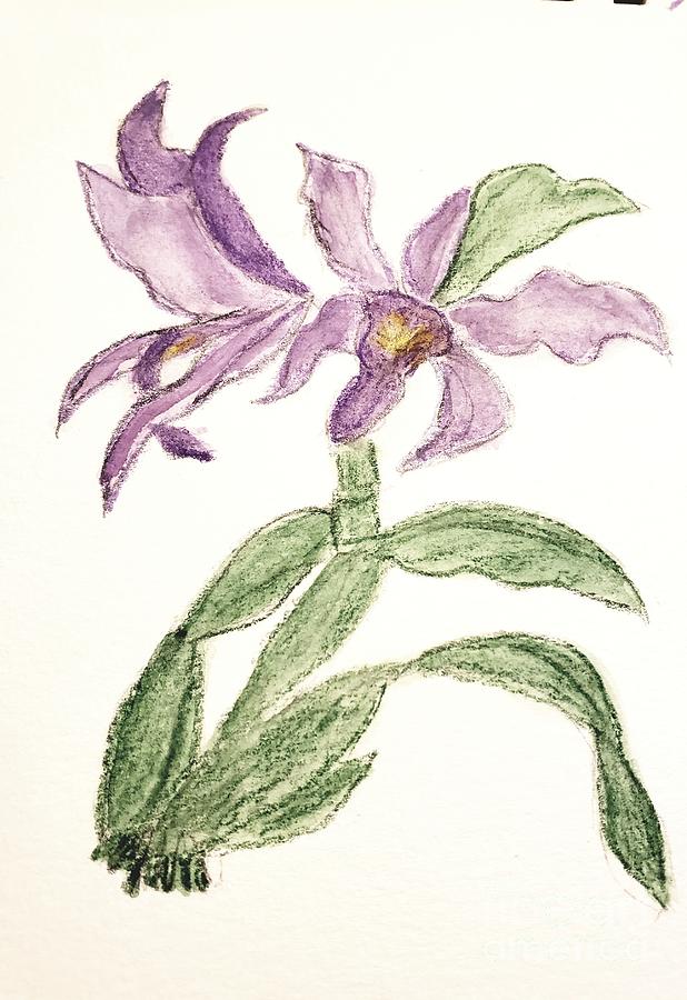 Laelia Orchid Painting by Margaret Welsh Willowsilk