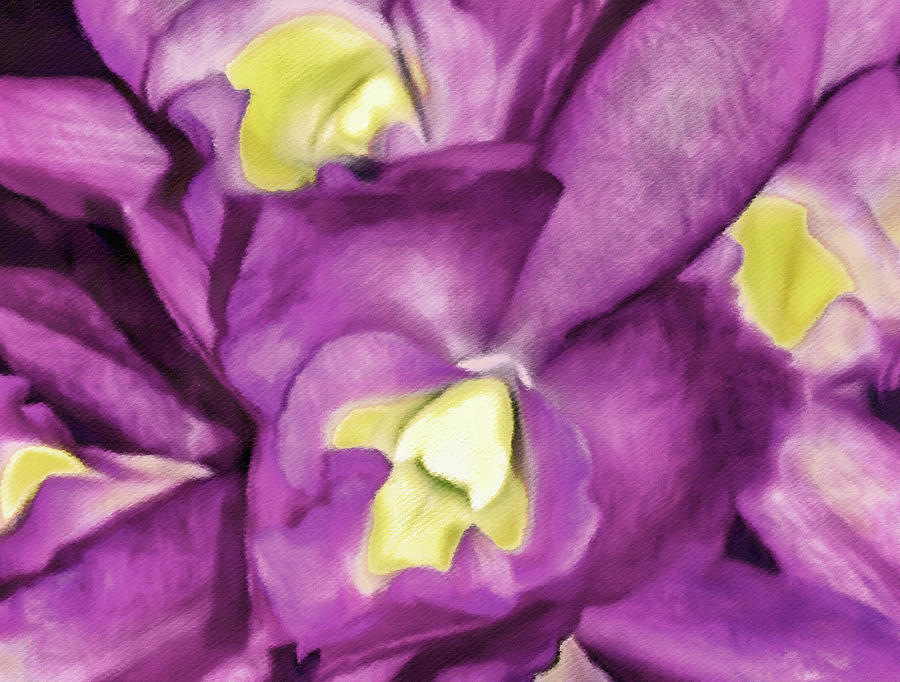 Laeliocattleya Orchid Secret Love KB Digital Art by Susan Maxwell Schmidt