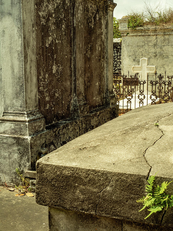 Lafayette Cemetery, New Orleans Photograph by Leslie Struxness