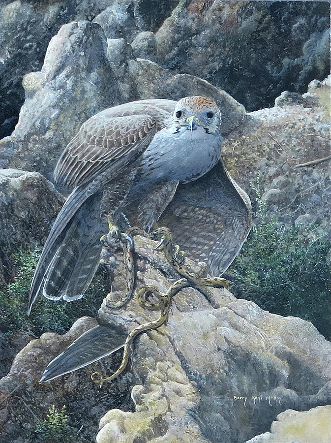 Lagger Falcon with Cat Snake Painting by Barry Kent MacKay