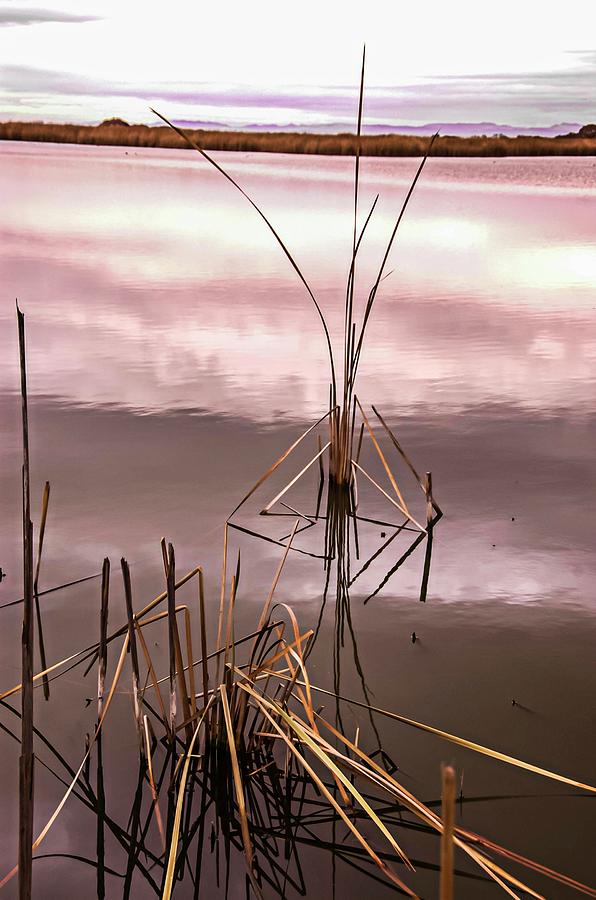 Lagoon at Dusk Bosque del Apache NWR by NaturesPix Lagoon at Dusk Bosque del Apache NWR by NaturesPix