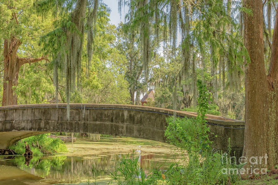 Lagoon Bridge City Park New Orleans Photograph