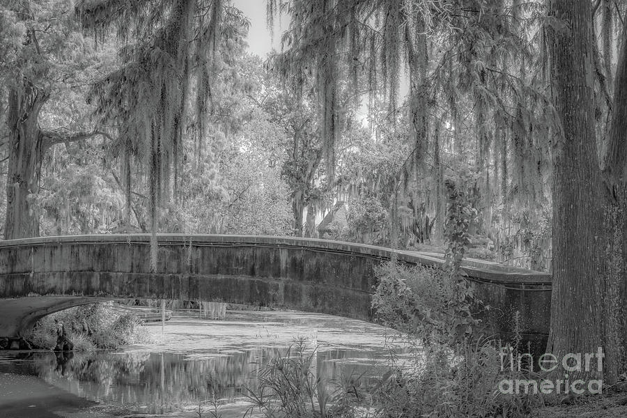 Black And White Photograph - Lagoon Bridge City Park, NOLA-BW by Kathleen K Parker