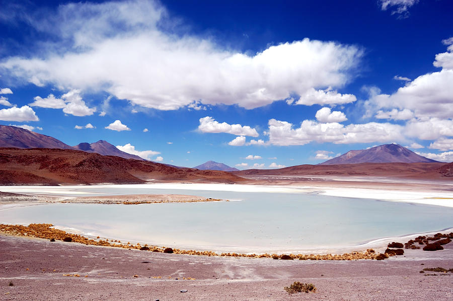 Lagoon in Altiplano, Bolivia Photograph by ArtMarie