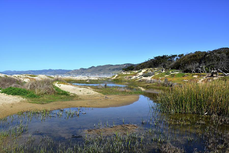 Lagoon in the Dunes Pismo Beach Photograph by Floyd Snyder