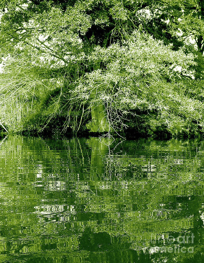 Lagoon reflextion Photograph by Joseph Imbesi - Fine Art America