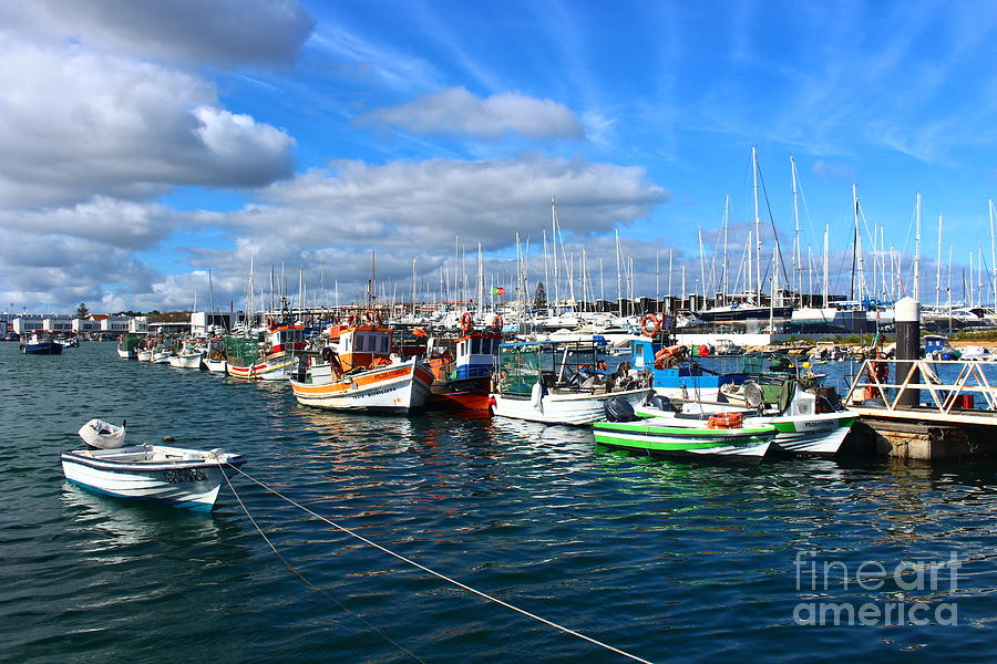 Lagos Fishing Harbour Splendor Photograph by Loretta S