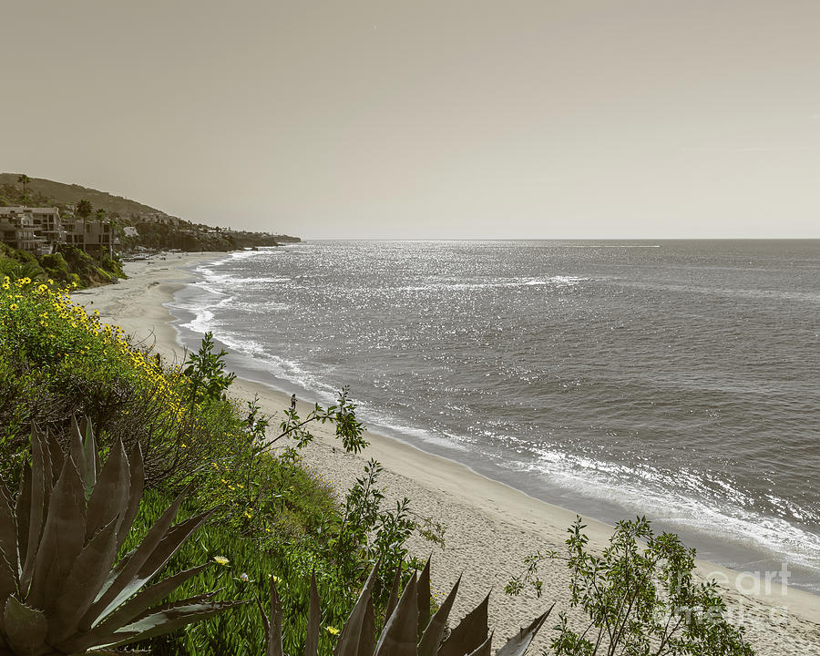 Laguna Beach Photograph by Abigail Diane Photography