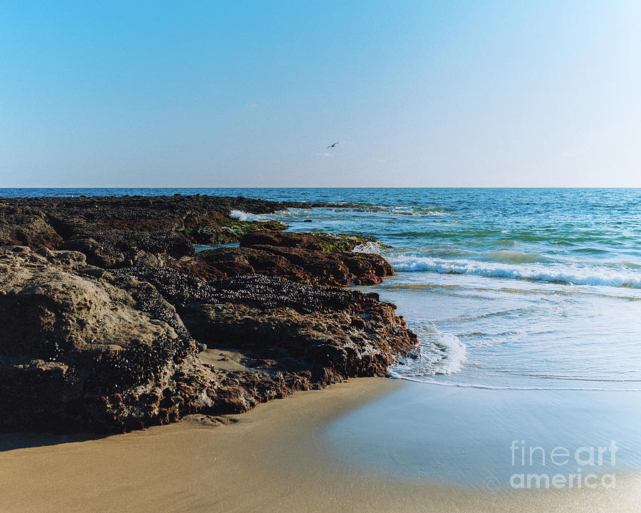 Laguna Beach Seascape Photograph by Abigail Diane Photography