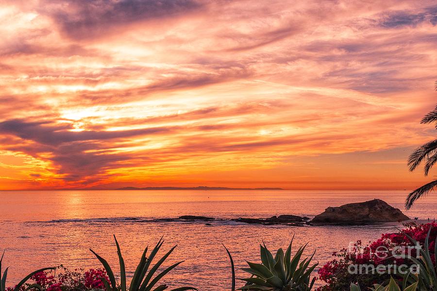 Laguna Beach Sunset  Photograph by Abigail Diane Photography
