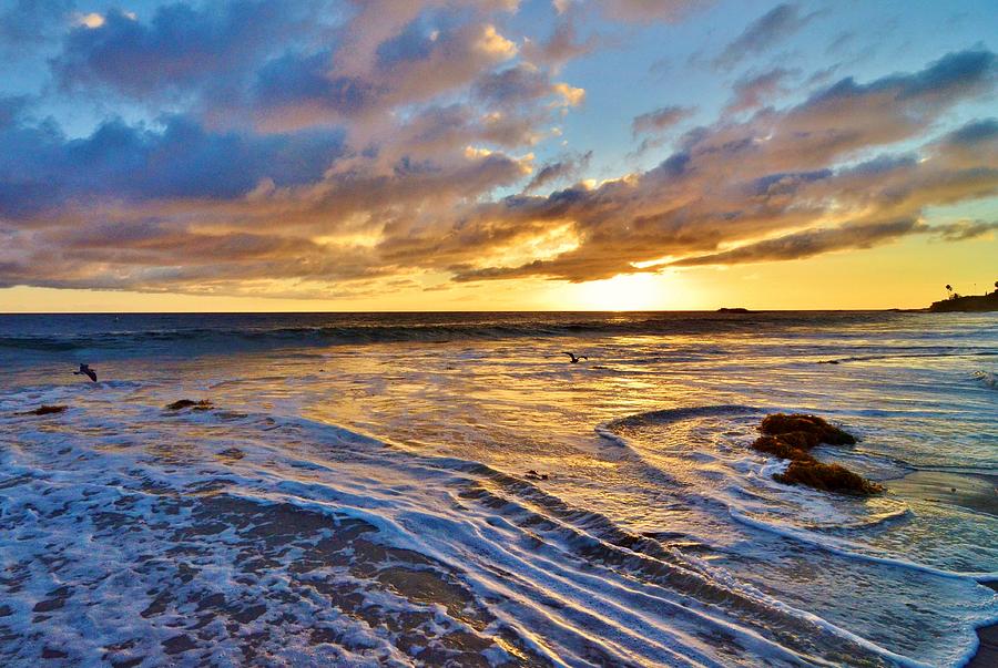 Laguna Beach Sunset Photograph by David Knowles - Fine Art America