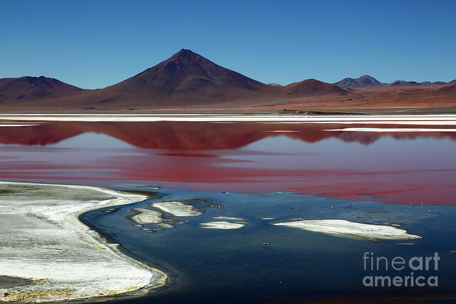 Laguna Colorada and Borax Islands Bolivia Photograph by James Brunker